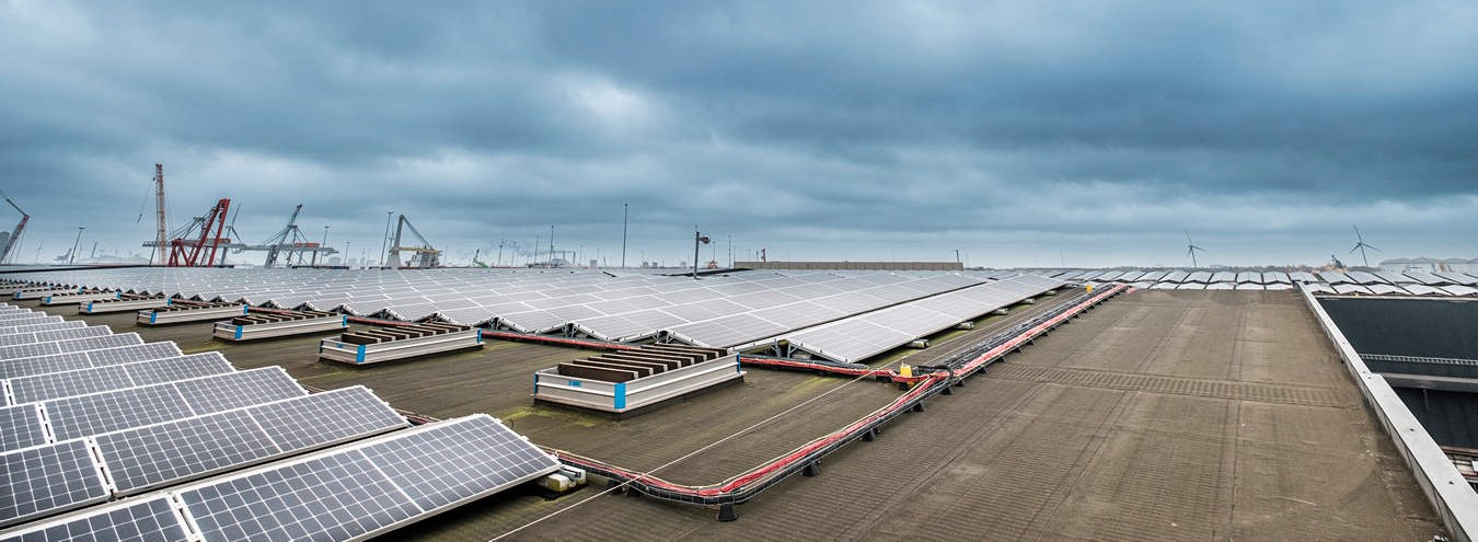 ofi creëert opslagterminal voor cacao op zonne-energie in de haven van Amsterdam