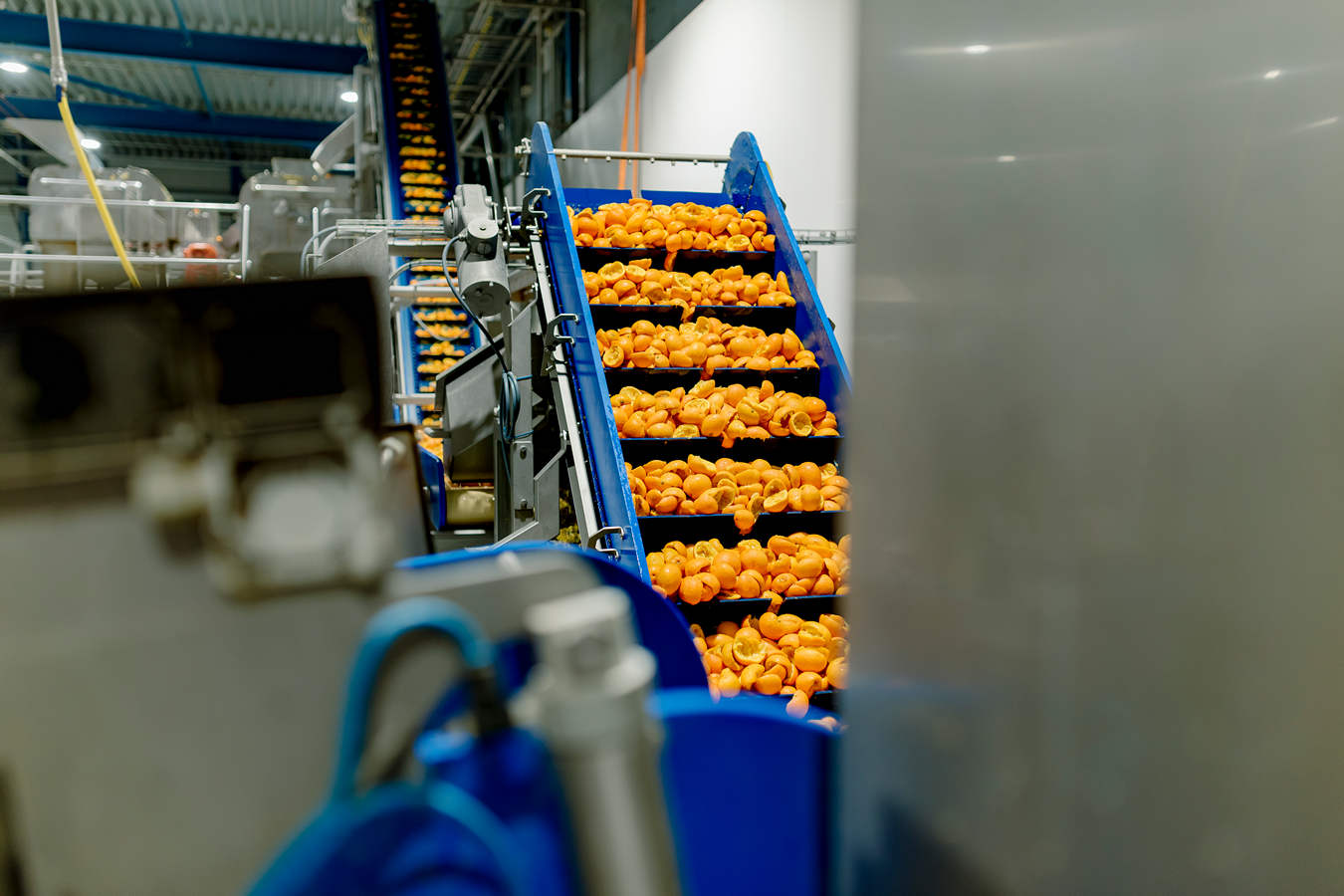 PeelPioneers maakt zich klaar voor internationale expansie