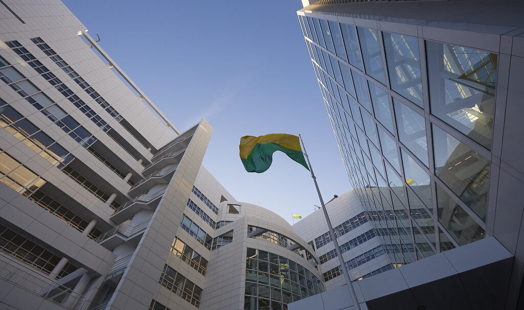 Haags stadhuis wordt groener en duurzamer