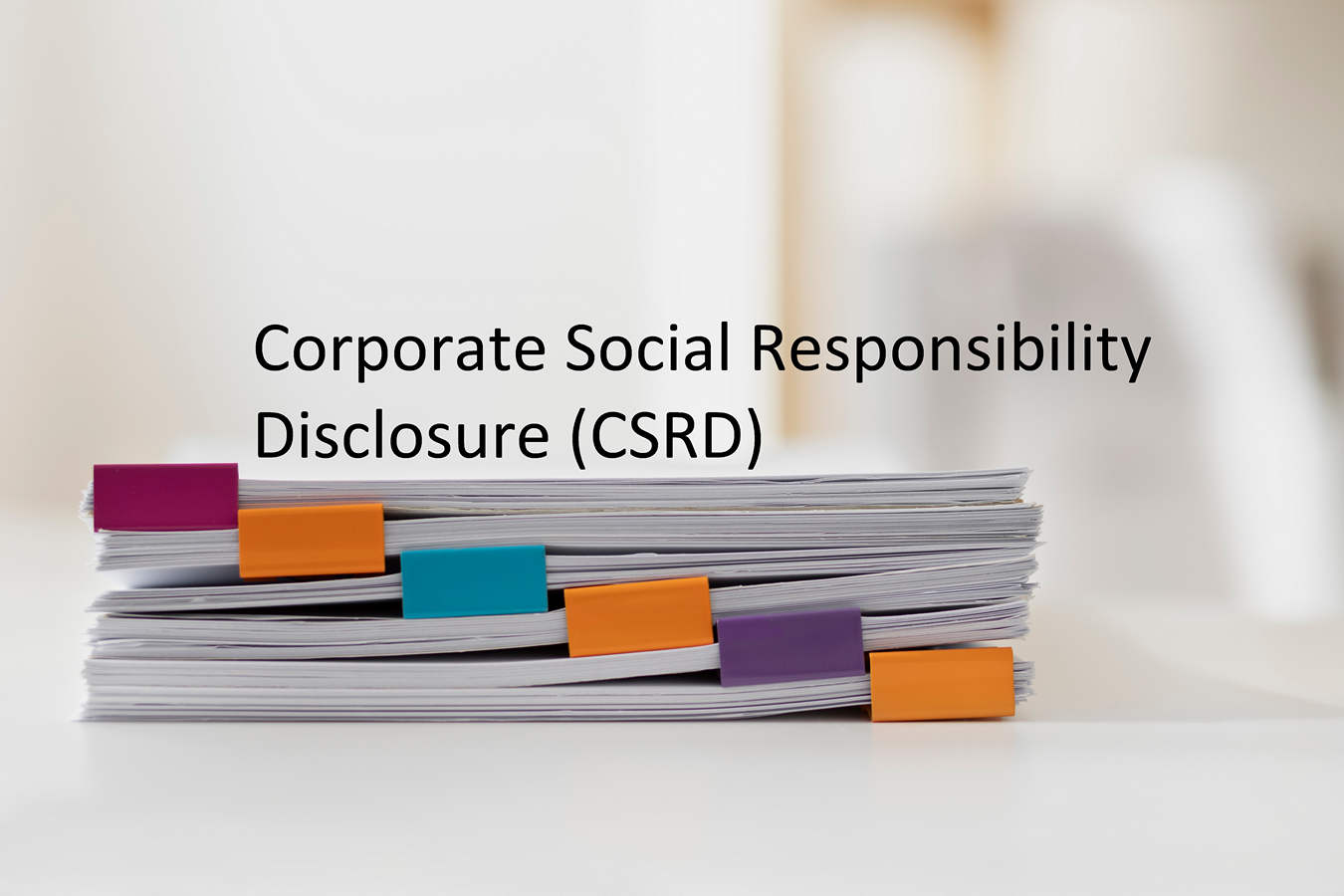 Corporate Social Responsibility Disclosure (CSRD).JPG