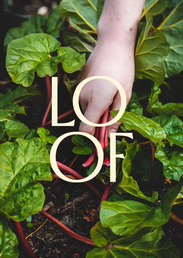 Duurzame bedrijfscatering