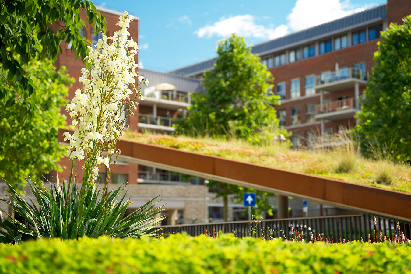 Markt, overheid en kennis slaan handen ineen voor biodiversiteit vastgoedportfolio's