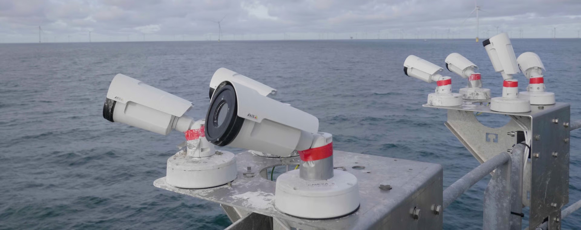 Nieuwe studie met warmtecamera’s verbetert inzicht in aanvaringsrisico van vogels op zee