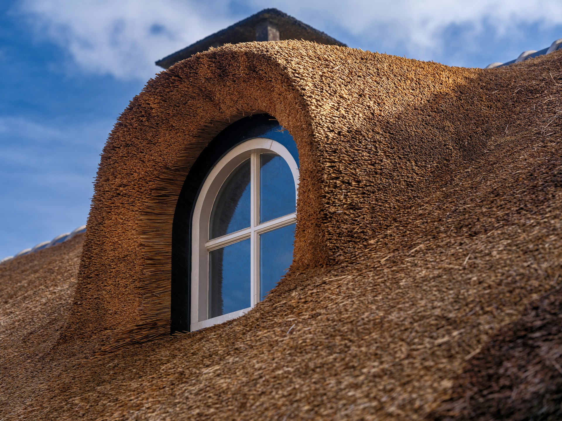 Vocht, ventilatie en rietluizen in rieten daken